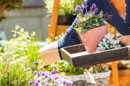 Gartenarbeit und blumen Verkauf